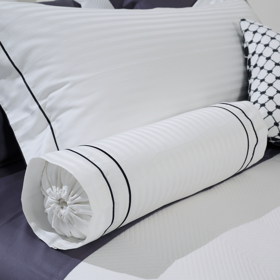 CAPA DE ROLINHO PLAZA 1